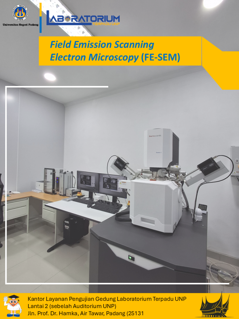 Field Emission Scanning Electron Microscopy (FE-SEM)