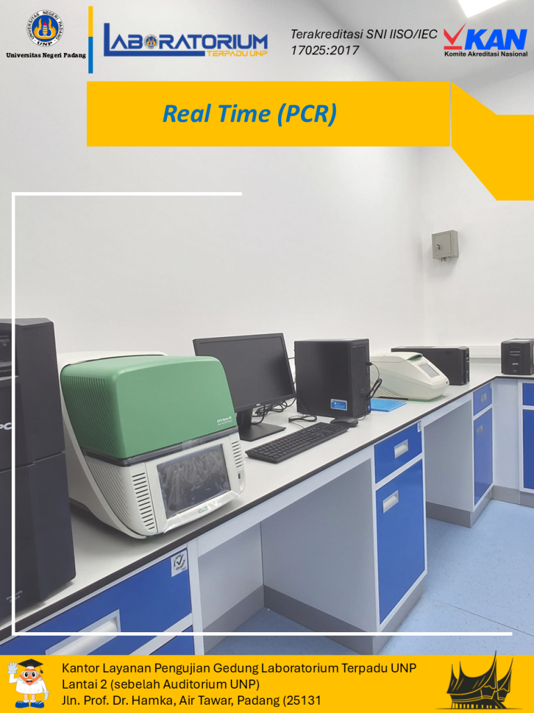 Real Time (PCR)